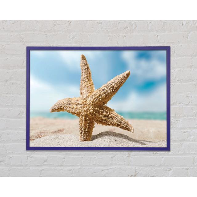 Starfish in Detail Sands - Single Picture Frame Art Prints Highland Dunes Size: 42cm H x 59.7cm W x 2cm D on Productcaster.