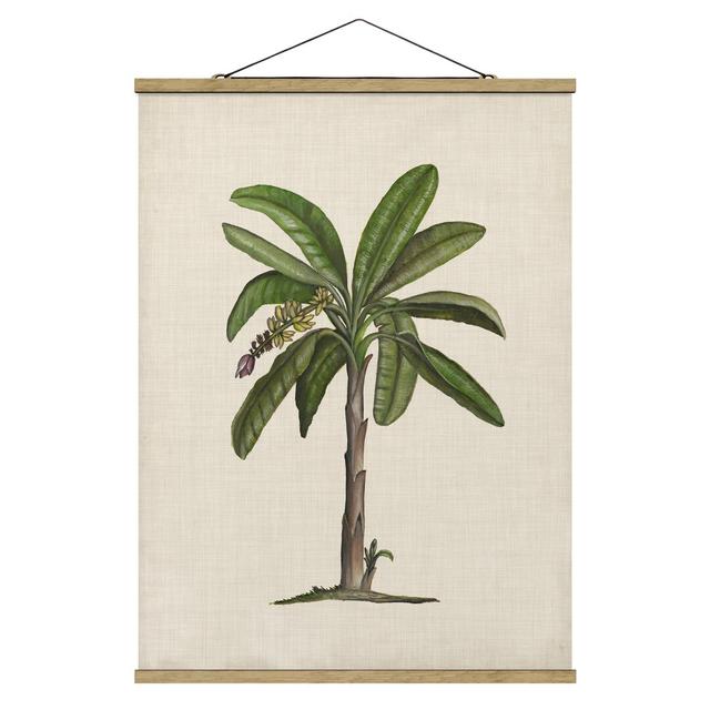 Stoffbild British Palms II Sansibar Home Größe: 133,5 cm H x 100 cm B x 0,3 cm T on Productcaster.