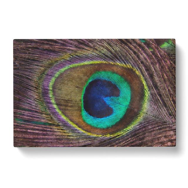 Peacock Feather - Wrapped Canvas Graphic Art East Urban Home Size: 50cm H x 76cm W x 3cm D on Productcaster.