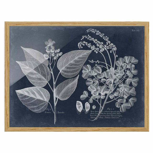 Foliage Dark Blue - Annotto - Picture Frame Painting August Grove Size: 40cm H x 55cm W x 2cm D, Frame Option: Brown Framed on Productcaster.