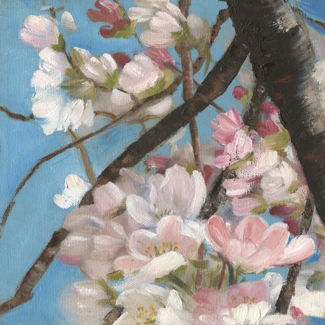 Cherry Blossoms II by Sandra Iafrate - Wrapped Canvas Painting Rosalind Wheeler Size: 122cm H x 122cm W on Productcaster.