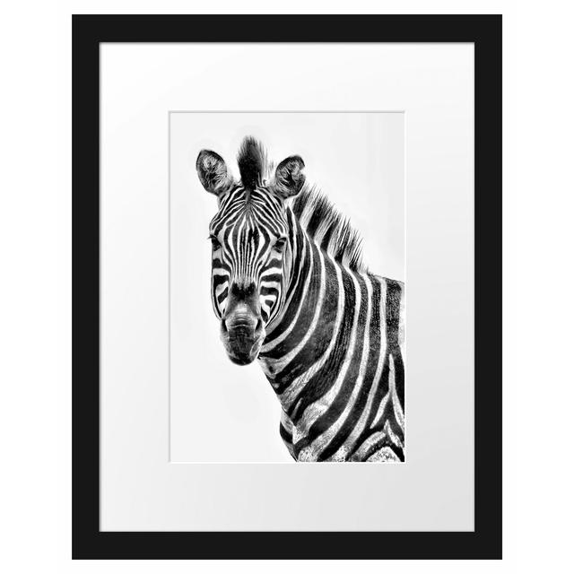 Gerahmtes Poster Zebra im Portrait East Urban Home Größe: 38 cm H x 30 cm B on Productcaster.