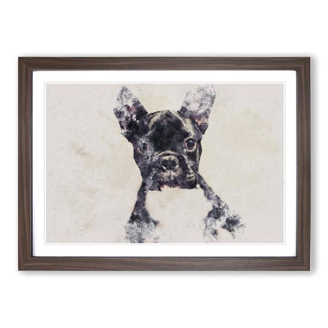 French Bulldog Vol.1 - Picture Frame Painting East Urban Home Frame Option: Walnut, Size: 36cm H x 48cm W x 2cm D on Productcaster.