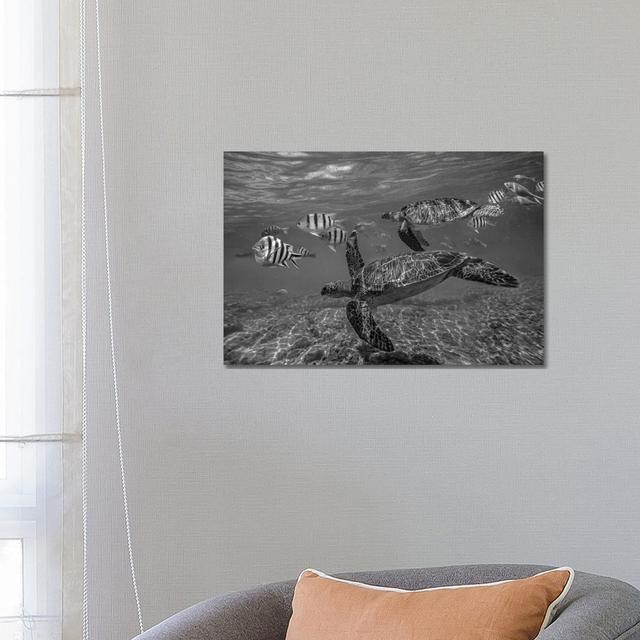 Green Sea Turtle Swimming With A School Of Butterfly Fish, Apo Island, Philippines - Wrapped Canvas Print 17 Stories Size: 45.72cm H x 66.04cm W x 3.8 on Productcaster.