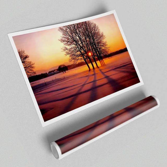 Winter Tree Sunrise Pinks - Photograph Print on Paper East Urban Home Size: 84.1 cm H x 118.9 cm W on Productcaster.