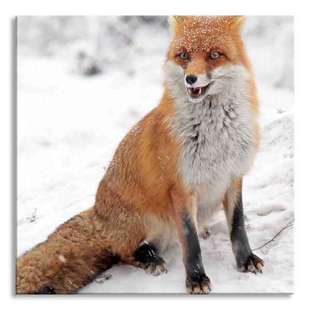 Fox In The Snow - No Frame Print on Glass Union Rustic Size: 80cm H x 80cm W x 0.4cm D on Productcaster.