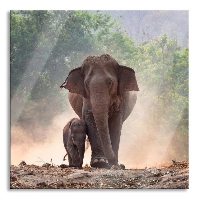 Elephant Baby With Mother - No Frame Print on Glass Brayden Studio Size: 70cm H x 70cm W x 0.4cm D on Productcaster.