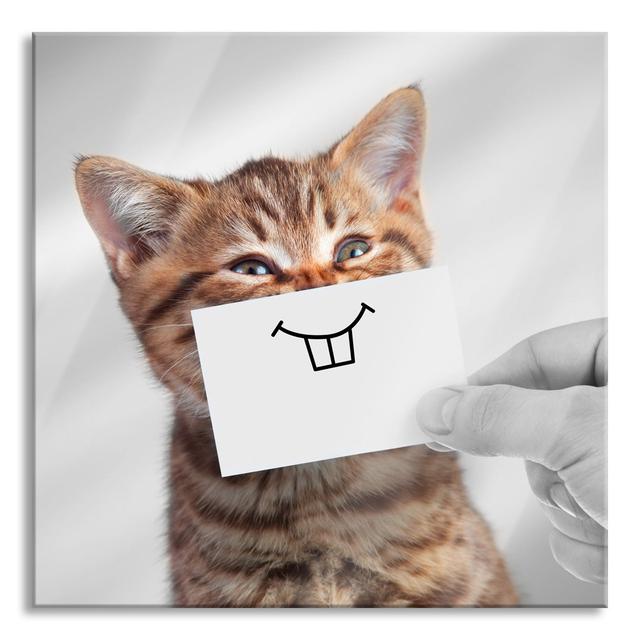 Funny Cat with a Smile on Paper - Unframed Photograph on Glass Maturi Size: 60cm H x 60cm W x 0.4cm D on Productcaster.