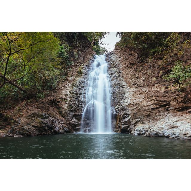 Costa Rica Montezuma Fall by Mlenny - Print Alpen Home Size: 51cm H x 76cm W on Productcaster.