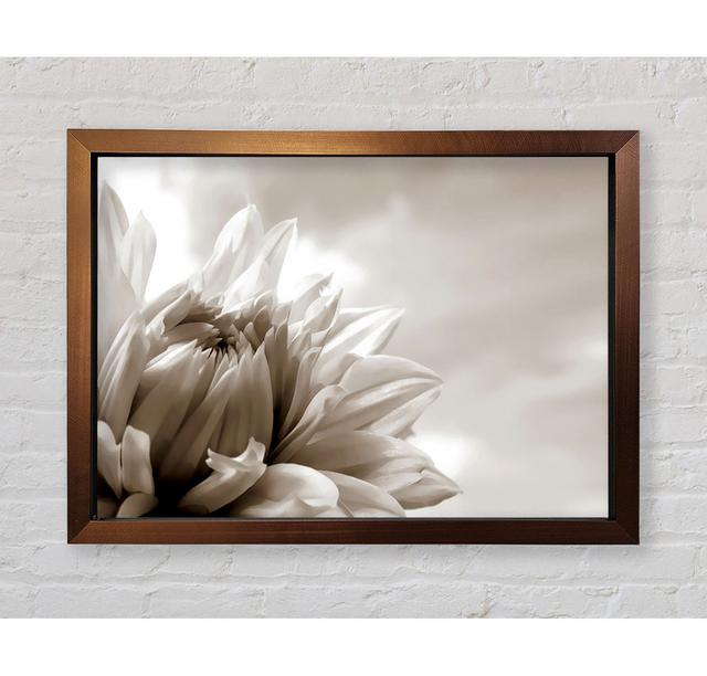 Blossoming Sepia - Single Picture Frame Art Prints Bright Star Size: 42cm H x 59.7cm W x 3.4cm D on Productcaster.