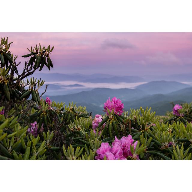 Bratton Foggy Valley by Kellyvandellen - Wrapped Canvas Art Prints Alpen Home Size: 51cm H x 76cm W 3.8cm D on Productcaster.