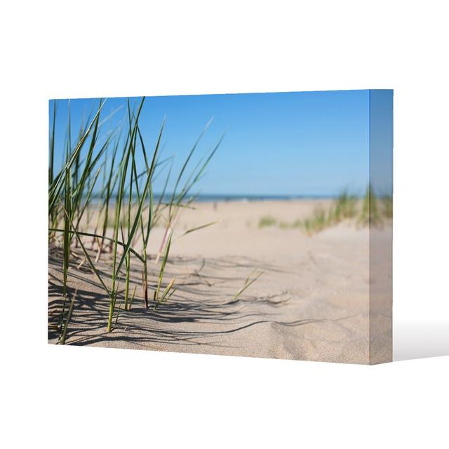 Grass In The Sand Dunes With The Lake In The Background Canvas Print Andrew Lee on Productcaster.