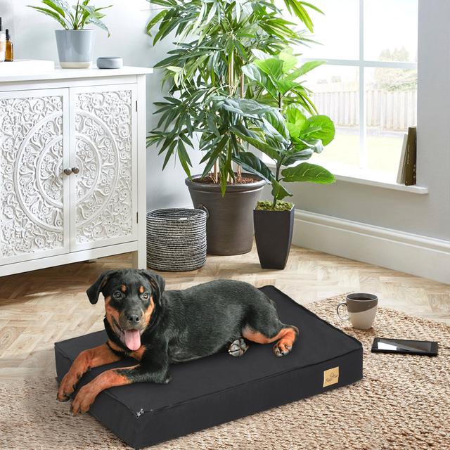 Orthopedic Pet Bed UNHO Size: 8cm H x 58cm W x 45cm D on Productcaster.