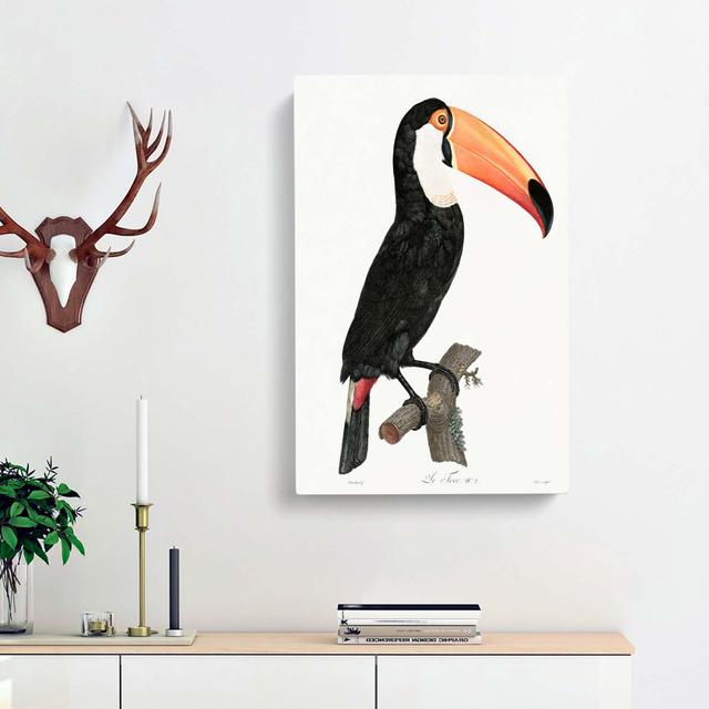 A Toucan by Jacques Barraband - Wrapped Canvas Painting Print East Urban Home Size: 76cm H x 50cm W x 3cm D on Productcaster.