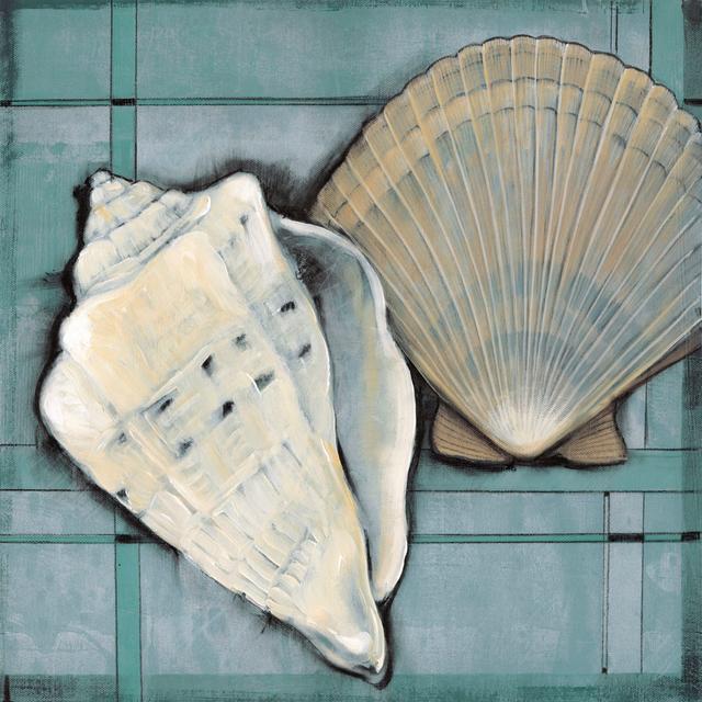 Seashell Sketch II Highland Dunes Size: 122cm H x 122cm W on Productcaster.