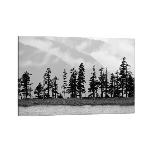 Pines On Beachfront By Savanah Plank - Wrapped Canvas Photograph by Savanah Plank - Wrapped Canvas Print Alpen Home Size: 20.32cm H x 30.48cm W x 1.90 on Productcaster.