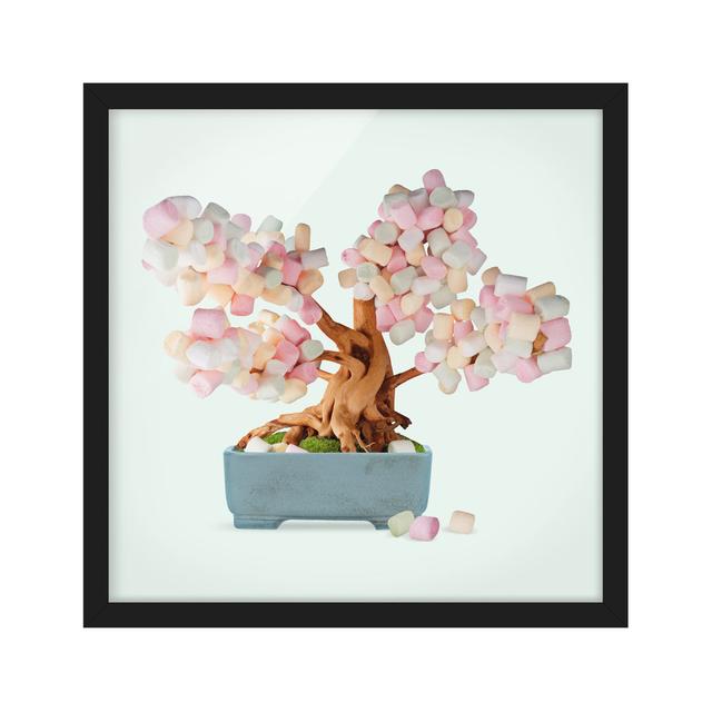 Bonsai with Marshmallows by Jonas Loose - Picture Frame Photograph Marlow Home Co. Size: 70cm H x 70cm W x 2cm D, Frame Option: Black Framed on Productcaster.