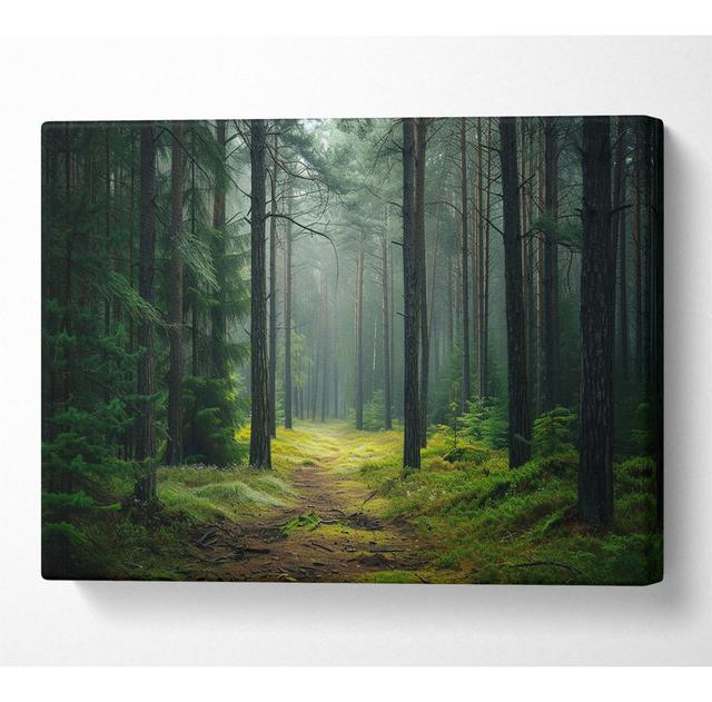 No Frame Art Prints on Canvas Alpen Home Size: 35.6cm H x 50.8cm W on Productcaster.