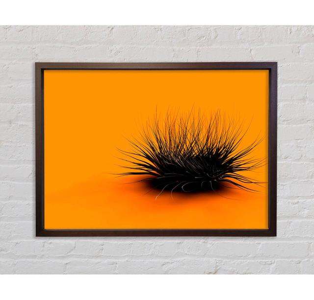 The Orange Thing - Print Bright Star Size: 84.1cm H x 118.9cm W x 3.3cm D on Productcaster.