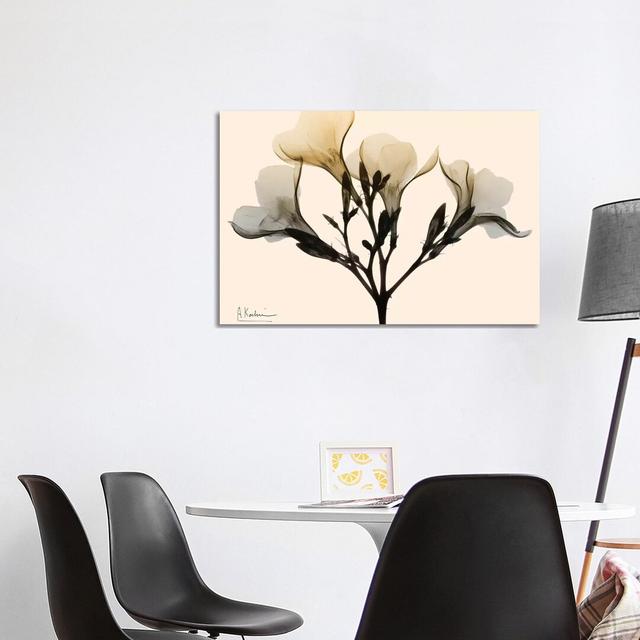 Oleander Dawn by Albert Koetsier - Wrapped Canvas Print Ebern Designs Size: 66.04cm H x 101.6cm W x 1.91cm D on Productcaster.