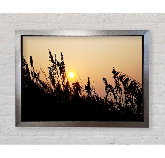 Sun Through the Reeds - Closed Corner Frame Art Print on Wood Latitude Run Format: Silver Framed Paper, Size: 100cm H x 141.4cm W x 3.4cm D on Productcaster.