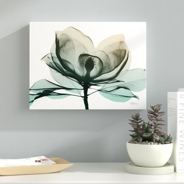 Emerald Magnolia 2 - Wrapped Canvas Graphic Art Print on Canvas East Urban Home Size: 38 cm H x 51 cm W on Productcaster.