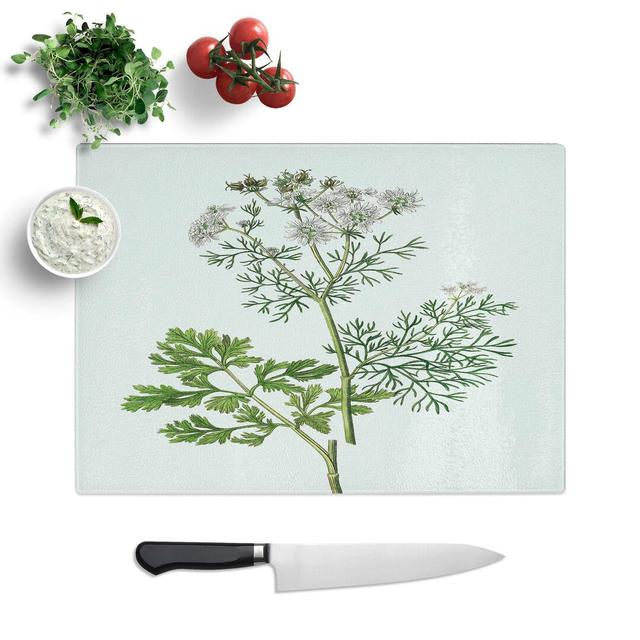 Tempered Glass Coriander Flowers Illustration Chopping Board East Urban Home Size: 39 cm W x 28.5 cm L on Productcaster.