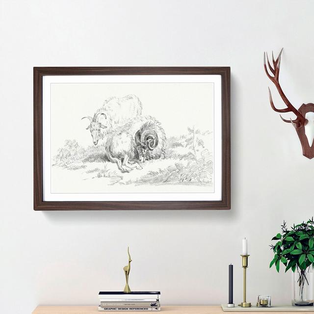 Sketch of Two Goats by Jean Bernard - Picture Frame Drawing Print East Urban Home Frame Option: Walnut Framed, Size: 48cm H x 65cm W x 2cm D on Productcaster.