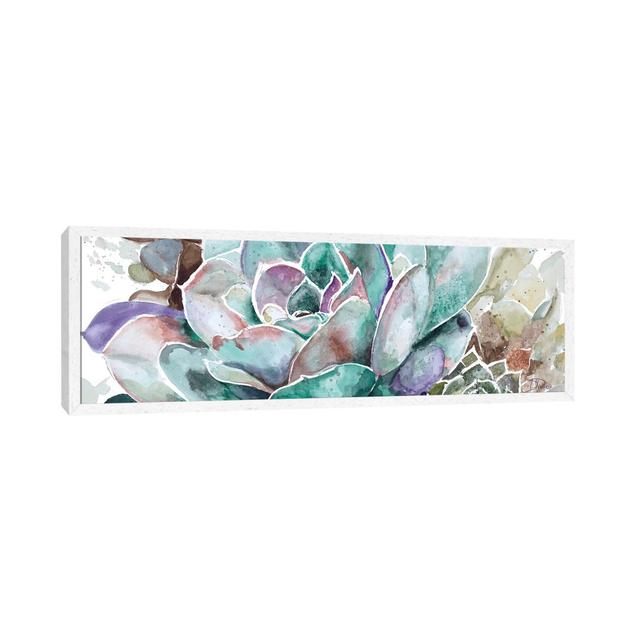 Desert Flower by Patricia Pinto - Floater Frame Panoramic Gallery-Wrapped Canvas Giclée on Canvas Bloomsbury Market Frame Colour: White, Size: 30.48cm on Productcaster.