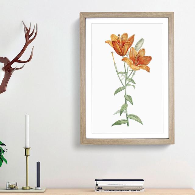 Orange Lily Flowers by Pierre-Joseph Redoute - Picture Frame Painting Print East Urban Home Size: 36cm H x 27cm W x 2cm D, Frame Option: Oak Framed on Productcaster.