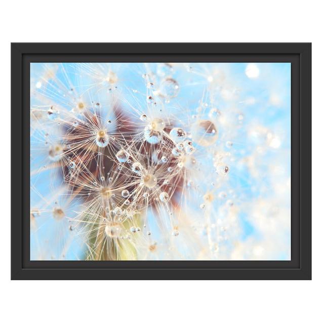 Gerahmtes Wandbild Tropfen an Pusteblume Nahaufnahme East Urban Home Größe: 30 cm H x 38 cm B on Productcaster.