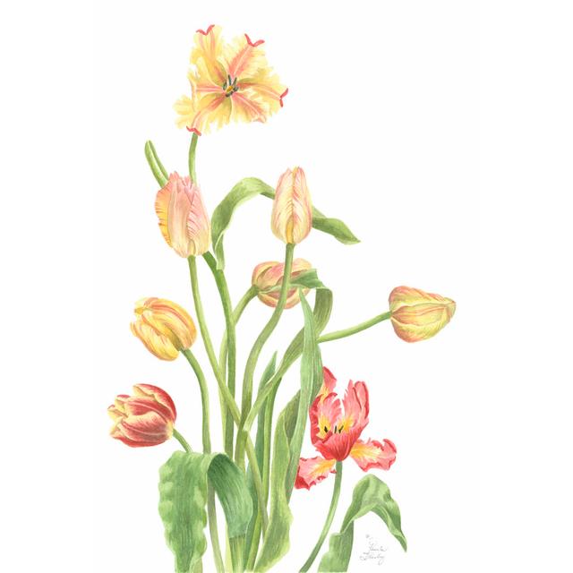 Tulip Spray II by Pamela Shirley - Wrapped Canvas Print Marlow Home Co. Size: 30cm H x 20cm W x 3.8cm D on Productcaster.