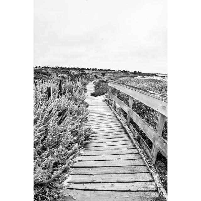 Asilomar Beach Path by MRaust - No Frame Art Prints on Canvas Beachcrest Home Size: 122cm H x 81cm W on Productcaster.