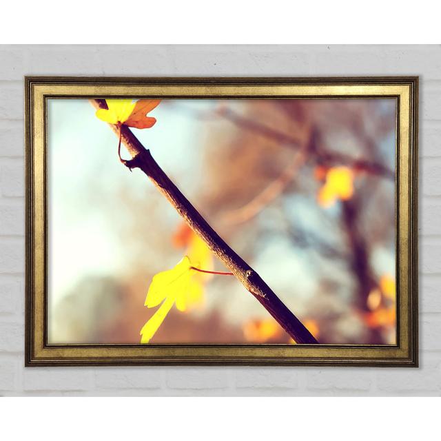 Autumn 2 - Print Brayden Studio Size: 21cm H x 29.7cm W x 1.5cm D on Productcaster.