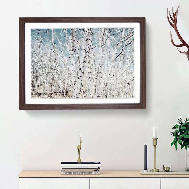 Birch Trees in Utah in Abstract - Picture Frame Graphic Art Print East Urban Home Frame Option: Walnut Framed, Size: 48cm H x 65cm W x 2cm D on Productcaster.