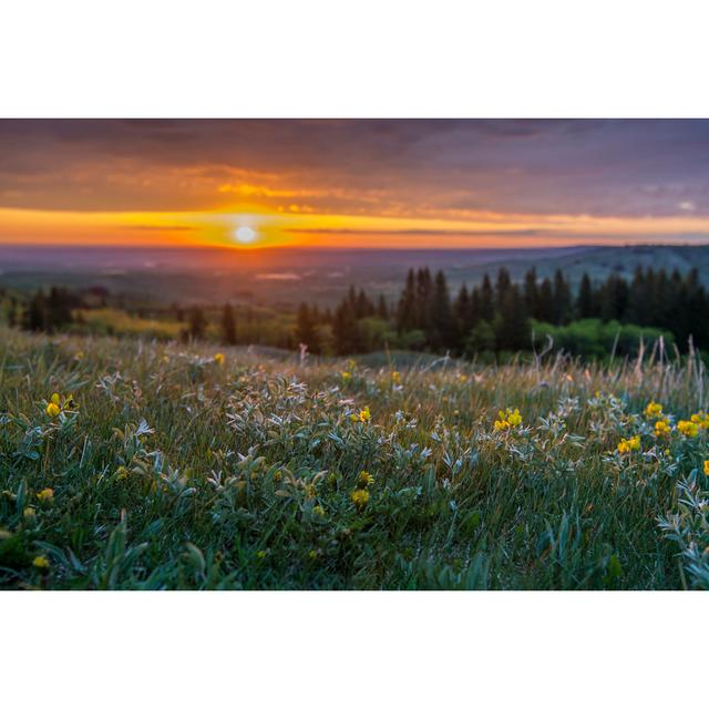 Dawn Over The Cypress Hills von James_Gabbert - Drucken 17 Stories Größe: 40 cm H x 60 cm B on Productcaster.