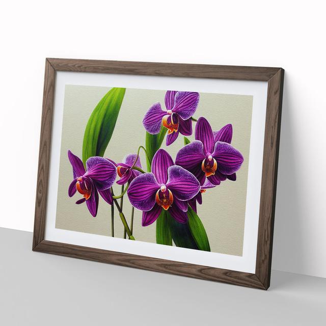 Intriguing Orchid Flowers - Picture Frame Graphic Art Marlow Home Co. Size: 46cm H x 64cm W x 2cm D, Frame Colour: Walnut on Productcaster.