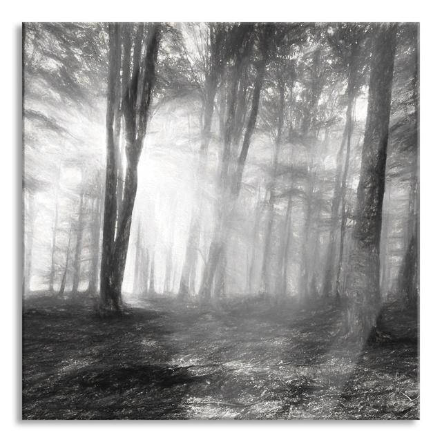 Forest Clearing In The Sunshine - No Frame Print on Glass Union Rustic Size: 70cm H x 70cm W x 0.4cm D on Productcaster.