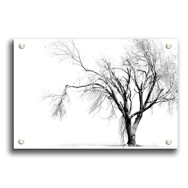 Dry Tree - Unframed Graphic Art Print on Paper East Urban Home Size: 42cm H x 59.4cm W on Productcaster.