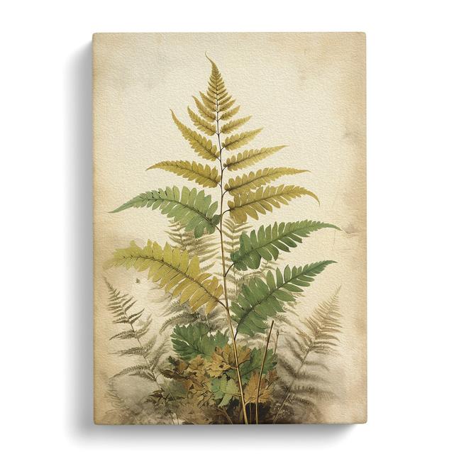 Fern Leaf Victorian - Art Prints Brambly Cottage Size: 50cm H x 35cm W x 3cm D on Productcaster.