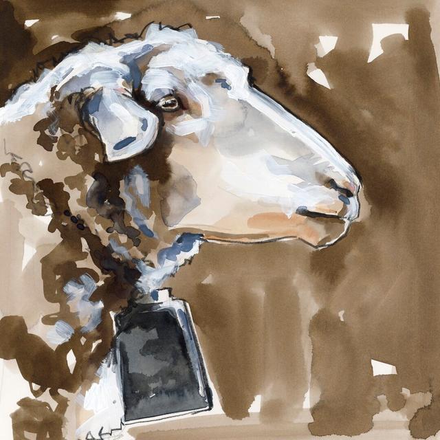 Side Eye Sheep I by Jennifer Paxton Parker - Wrapped Canvas Painting August Grove Size: 51cm H x 51cm W on Productcaster.