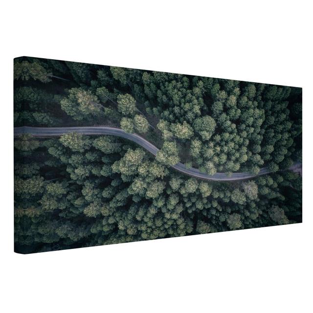 Aerial Photo - Forest Road from Above - Wrapped Canvas Photograph Union Rustic Size: 40cm H x 80cm W on Productcaster.