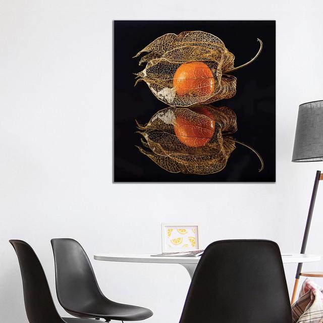 Physalis by Klaus Grosshanten - Wrapped Canvas Gallery-Wrapped Canvas Giclée Latitude Run Size: 93.98cm H x 93.98cm W x 1.9cm D on Productcaster.