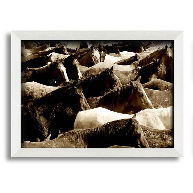 Ocean Of Horses - Print August Grove Size: 42cm H x 59.7cm W x 10cm D, Frame Colour: White on Productcaster.