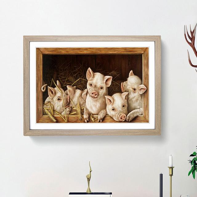 Prize Pigs - Picture Frame Painting Print East Urban Home Frame Option: Oak Framed, Size: 36cm H x 48cm W x 2cm D on Productcaster.