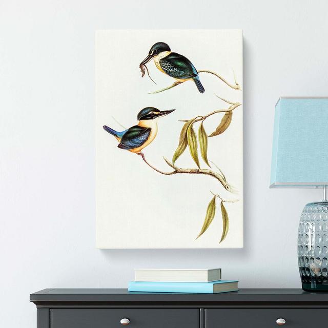 SacHalcyon Kingfishers by Elizabeth Gould - Wrapped Canvas Painting East Urban Home Size: 50cm H x 35cm W x 3cm D on Productcaster.