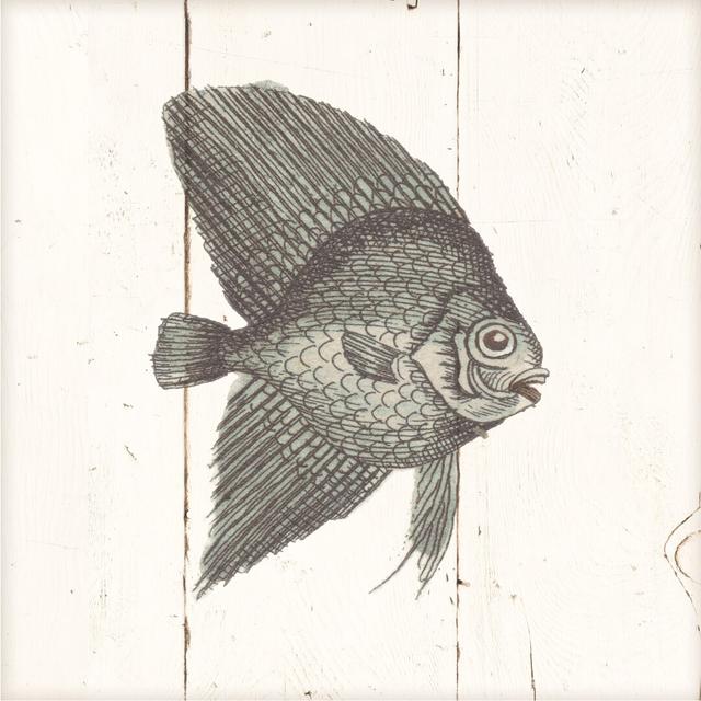 Fish Sketches III Shiplap by Wild Apple Portfolio - Wrapped Canvas Drawing Print Highland Dunes Size: 30cm H x 30cm W x 3.8cm D on Productcaster.