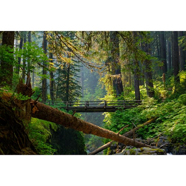 Bridge Over Sol Duc by Alfred Jennett - Wrapped Canvas Print Alpen Home Size: 30cm H x 46cm W on Productcaster.