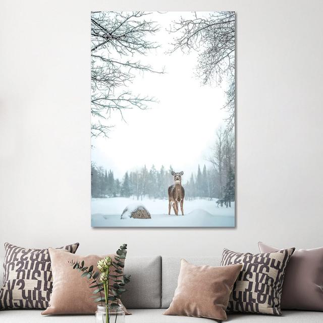 Deer In Deep Snow by Nik Rave - Wrapped Canvas Print Alpen Home Size: 152.4cm H x 101.6cm W x 3.81cm D on Productcaster.