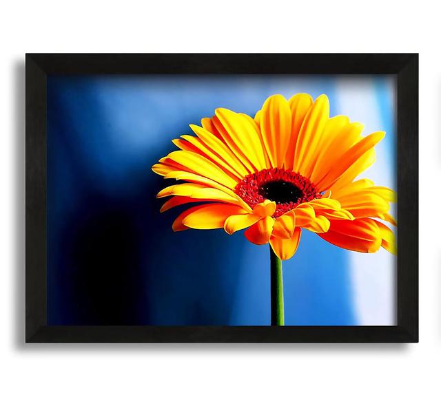 Single Orange Gerbera - Picture Frame Graphic Art on Canvas Ebern Designs Size: 30cm H x 42cm W x 10cm D on Productcaster.